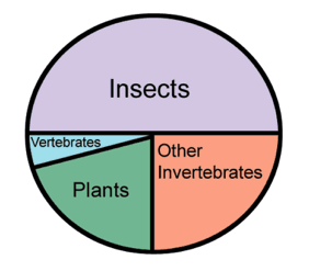 Pie chart showing relative diversity of insects, verts, inverts, and plants