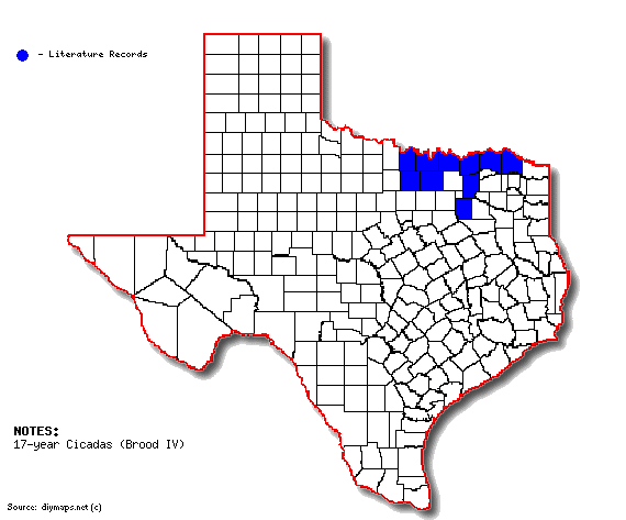 Brood IV in Texas