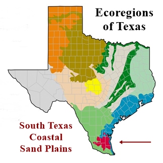 Map of South Texas Sand Plains