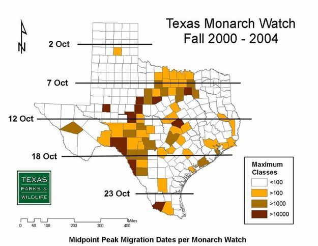 Mapp of Fall Monarch Migration Through Texas 