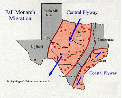 Mapp of Fall Monarch Migration Through Texas