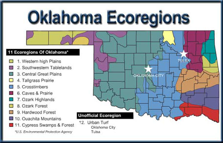 Ecoregions map