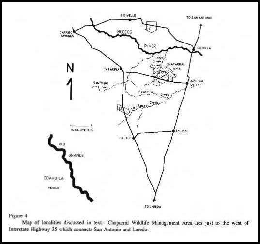 Snout migratory directions