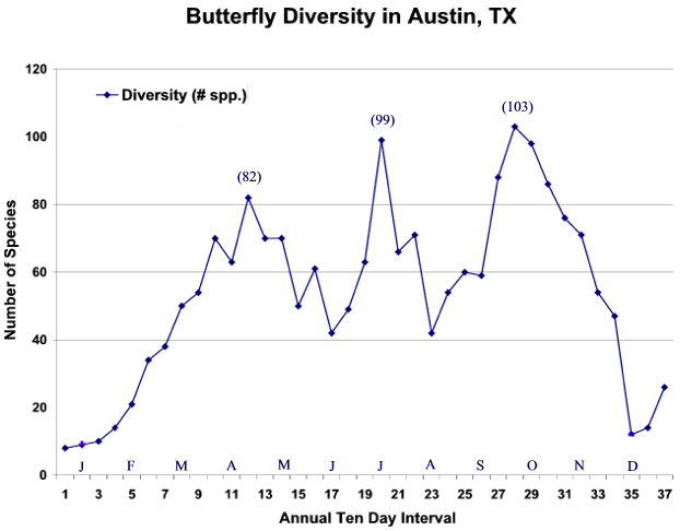 Butterfly Diversity of Austin, Texas