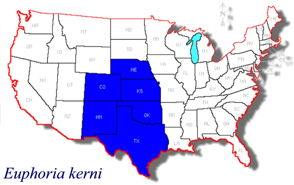 State Records for Euphoria kernii